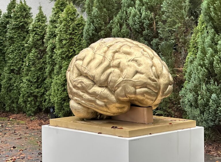 Die Konstruktion der Wirklichkeit und das gekühlte Glaubensfeuer